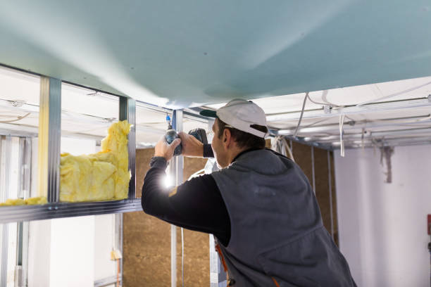 Attic Insulation Near Me in Fruitland, NC