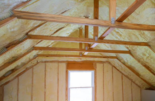Best Residential Insulation Services  in Fruitland, NC