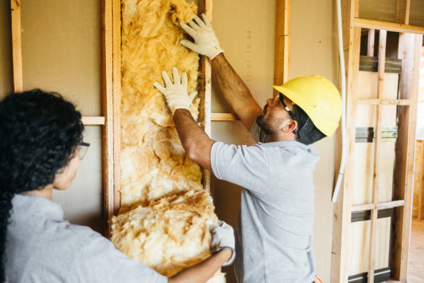 Best Energy-efficient Insulation  in Fruitland, NC