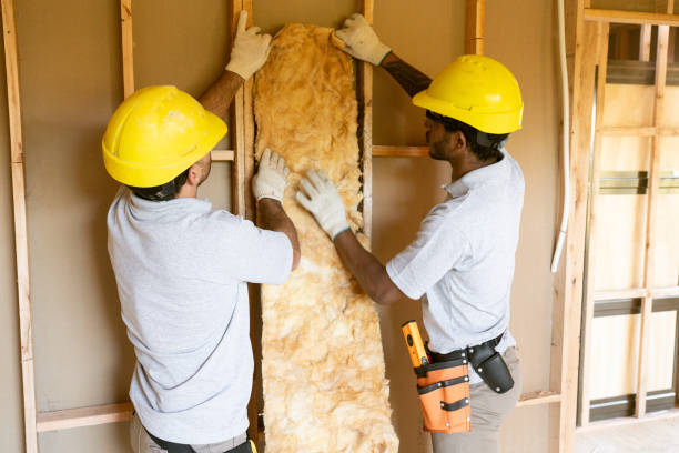 Professional Insulation Contractor in Fruitland, NC