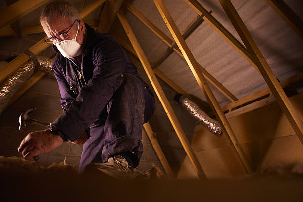 Best Cellulose Insulation  in Fruitland, NC