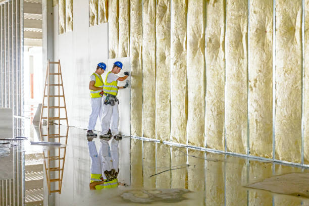 Best Professional Insulation Contractor  in Fruitland, NC